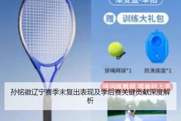 孙铭徽辽宁赛季末复出表现及季后赛关键贡献深度解析